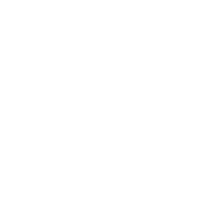 everlast