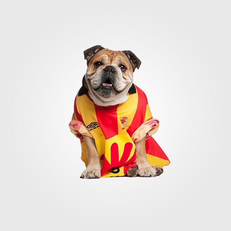 Sports-Dress-Pet-WordPress-theme.jpg